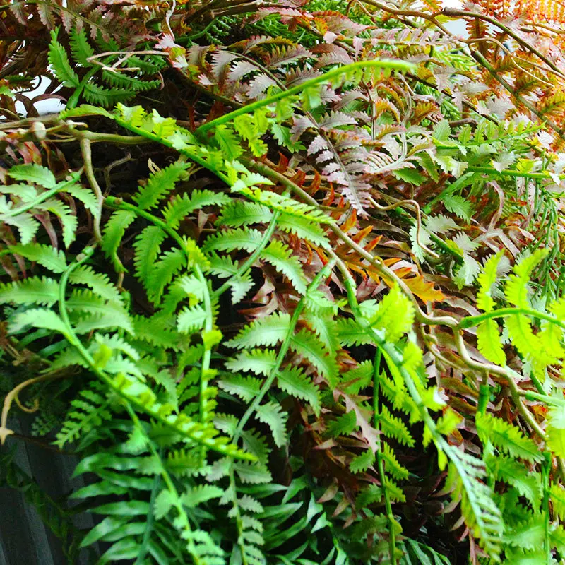Agățat de perete Feriga aer iarba de viță de vie verde Flori Artificiale decor Nunta flores plastic fals plant fleur artificielle rattan Imagine 0