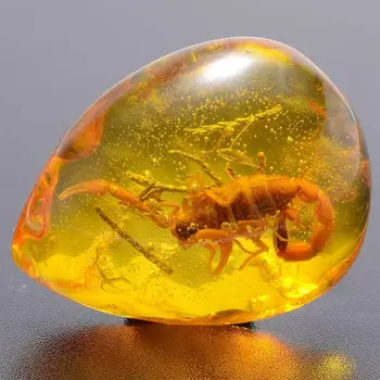 1 BUC Moda Insecte Piatră Naturală Scorpioni Includerea Amber Casa de Piatra Decorativa Petrecere de Nunta DIY Meșteșug Pandantiv Cadou