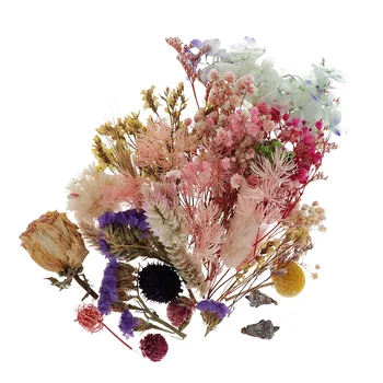 Asortate Colorate Real Presat Flori Uscate Naturale, Flori Uscate pentru Arta Artizanat DIY Rășină Scrapbooking Carte de a Face