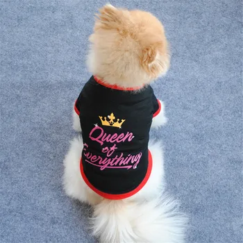 Regina Model Coroana De Vară Haine Animal De Casă Animal De Casă Supplies Negru Pisica Sphinx Îmbrăcăminte Accesorii Câine Super-Fată Drăguță Mic Costum De Câine