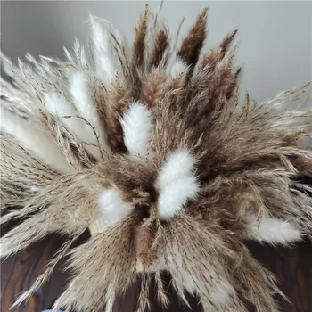 45cm Reed Pampas Grâu Urechi de Iepure cu Coada Iarbă Naturale Uscate Buchet de Flori de Nunta de Decorare Fân pentru Petrecerea Boem Acasă